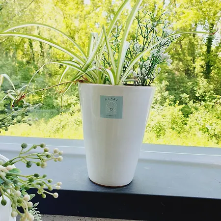 Pearl Apartman Apartment Keszthely